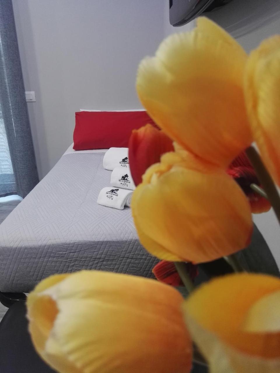 B&B Da Lillo Фрозиноне Экстерьер фото